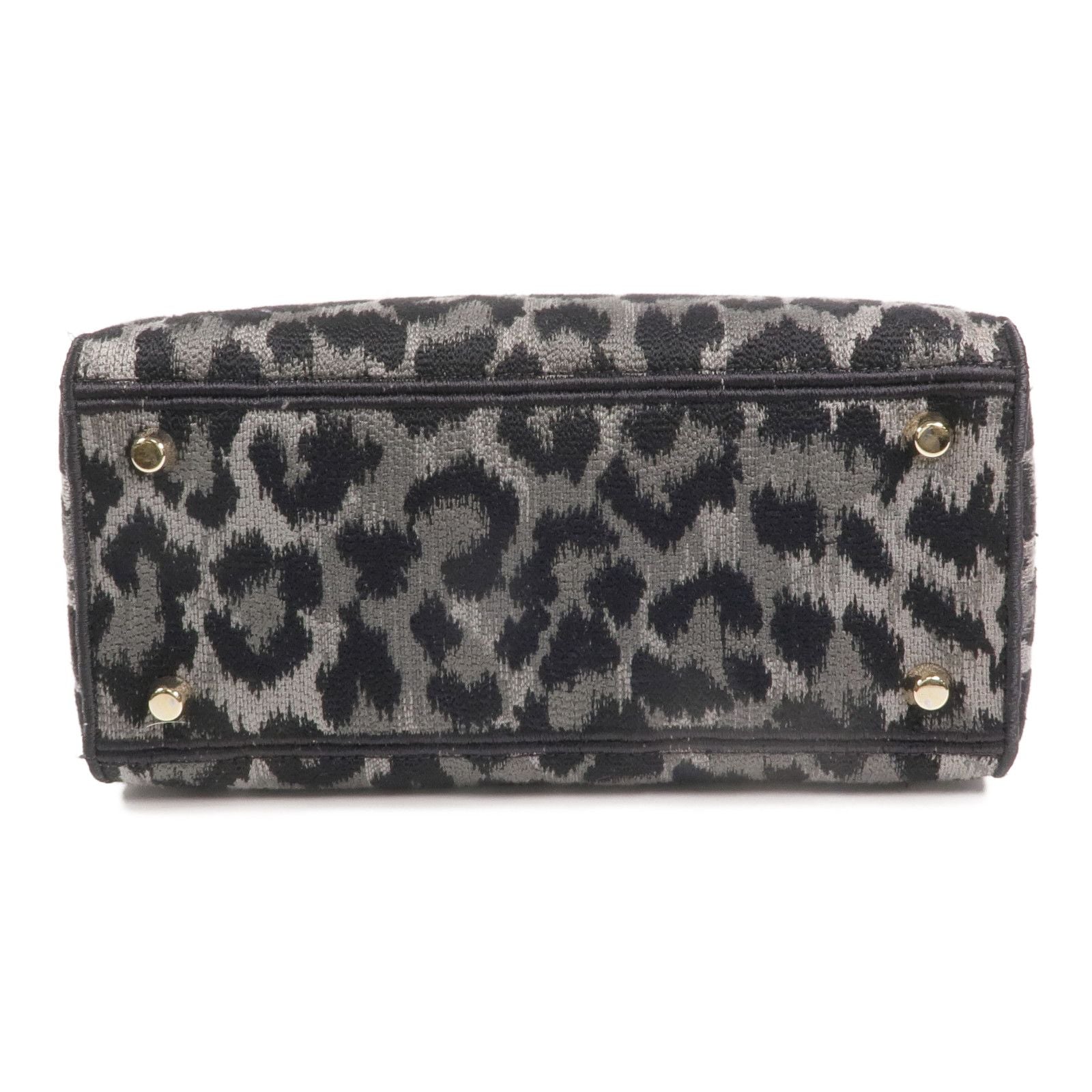 Christian Dior Lady D-Lite Medium Mizza Leopard Embroidered Canvas Bag
