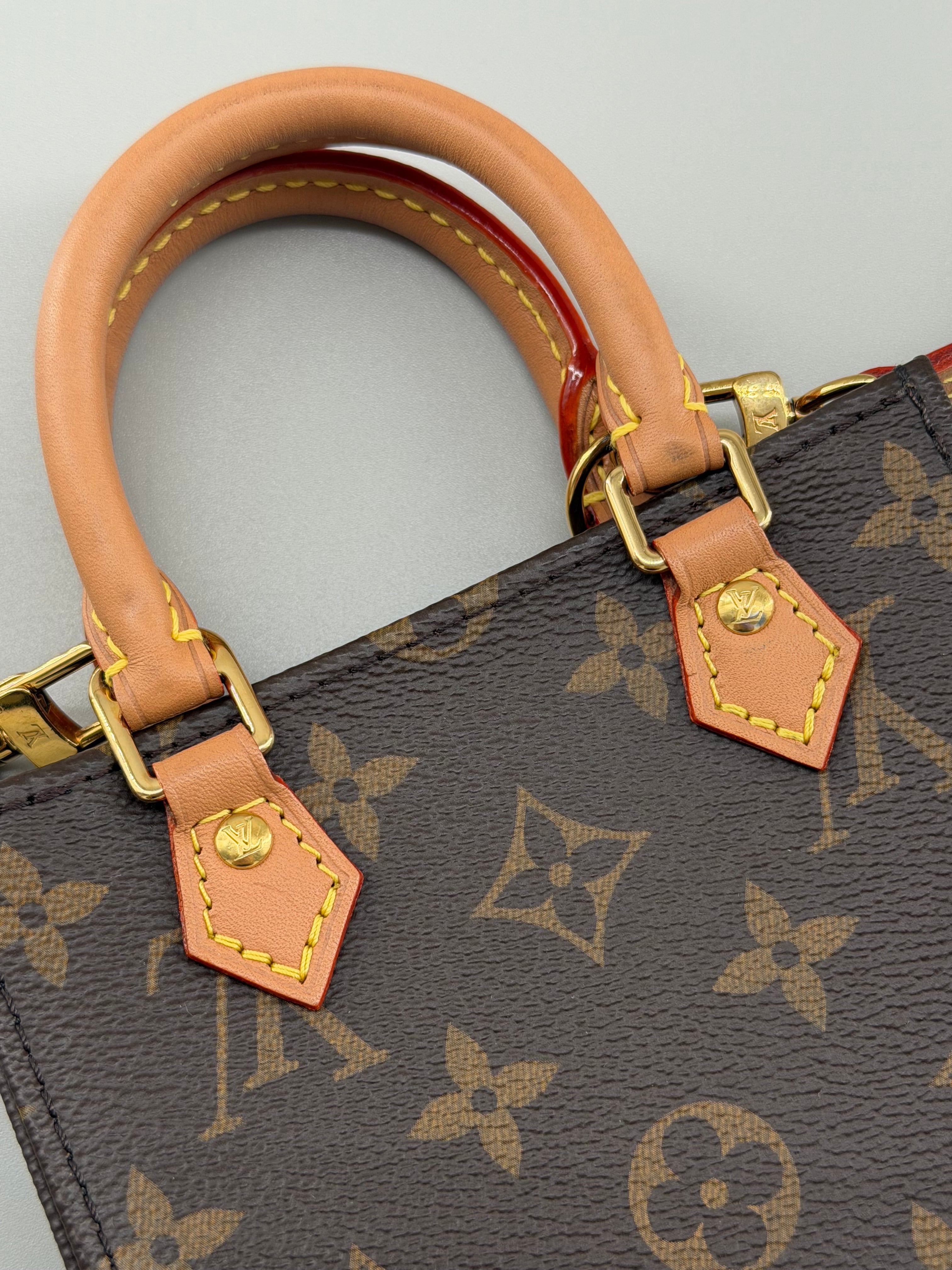 Louis Vuitton Petit Sac Plat Monogram Canvas (RFID)