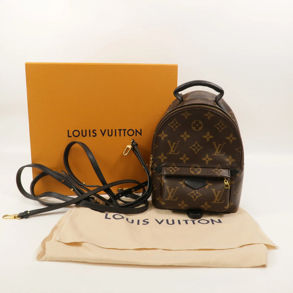 Louis Vuitton Palm Springs Mini Backpack Monogram Canvas