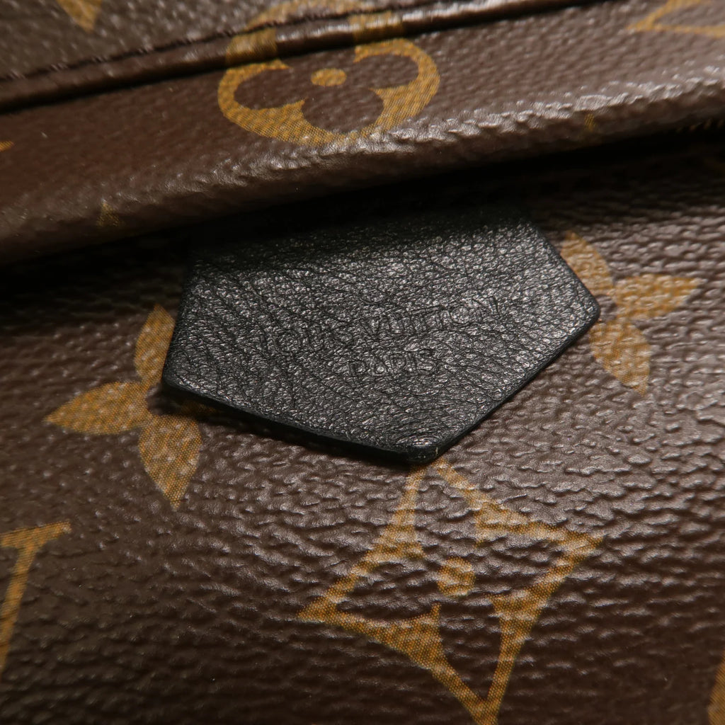 Louis Vuitton Palm Springs Mini Backpack Monogram Canvas