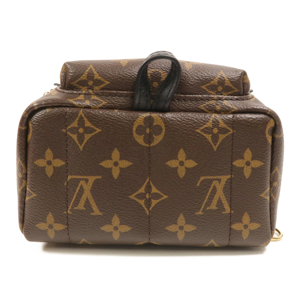 Louis Vuitton Palm Springs Mini Backpack Monogram Canvas