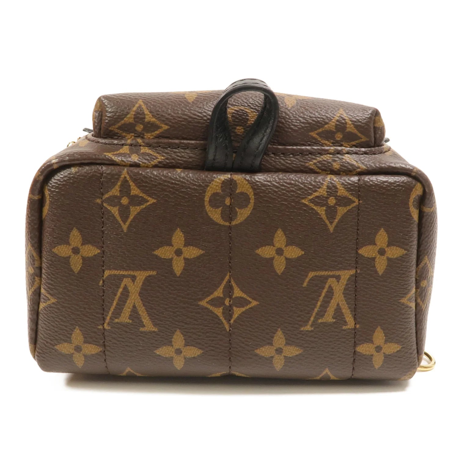 Louis Vuitton Palm Springs Mini Backpack Monogram Canvas