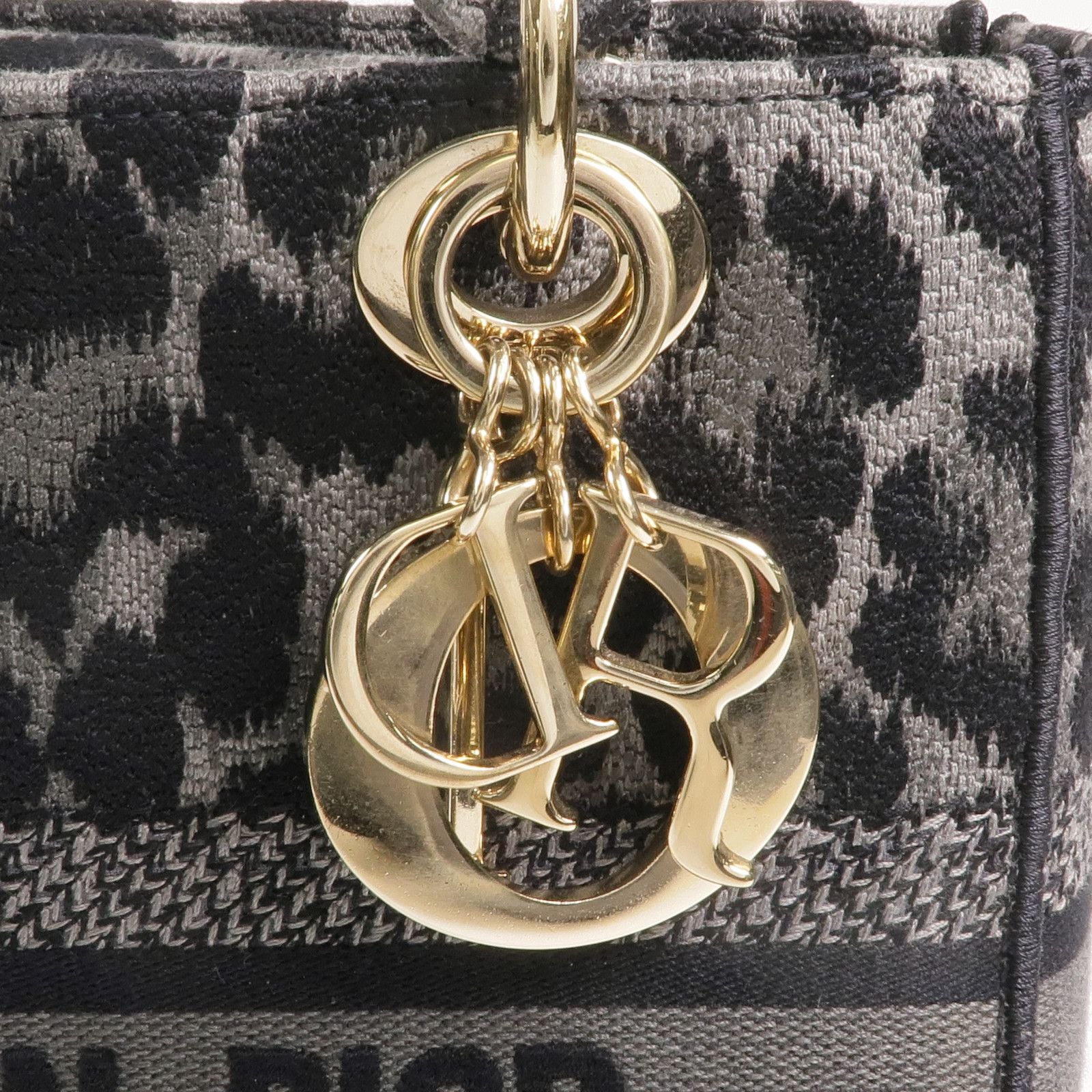 Christian Dior Lady D-Lite Medium Mizza Leopard Embroidered Canvas Bag