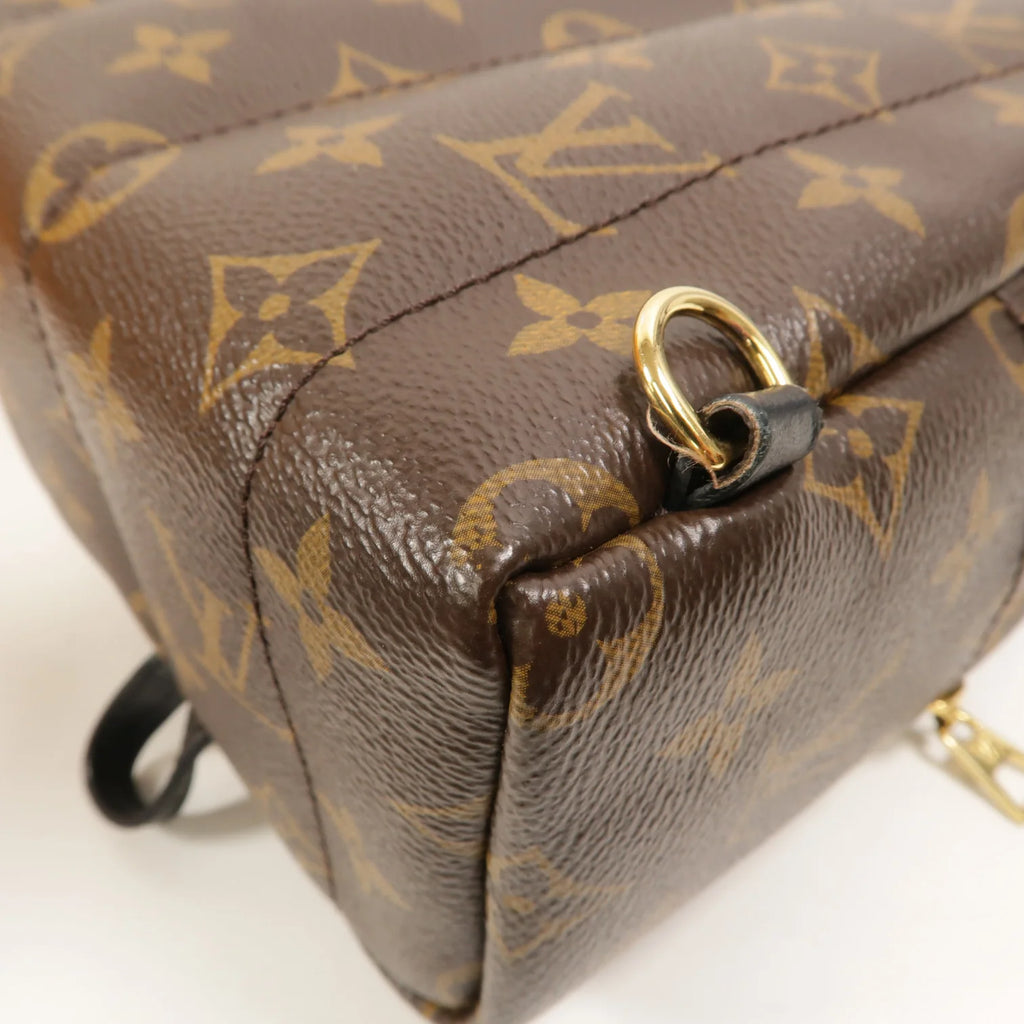 Louis Vuitton Palm Springs Mini Backpack Monogram Canvas