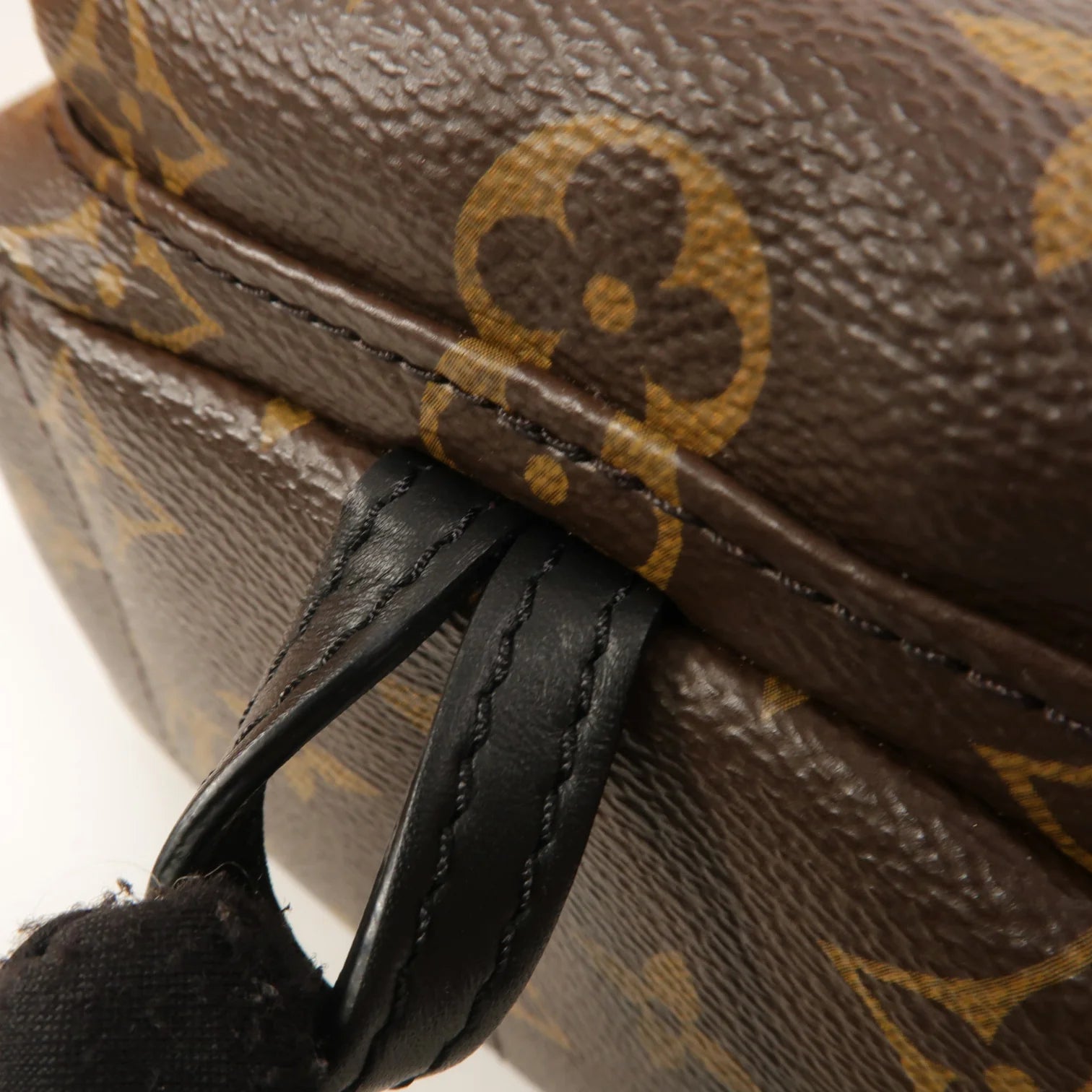 Louis Vuitton Palm Springs Mini Backpack Monogram Canvas