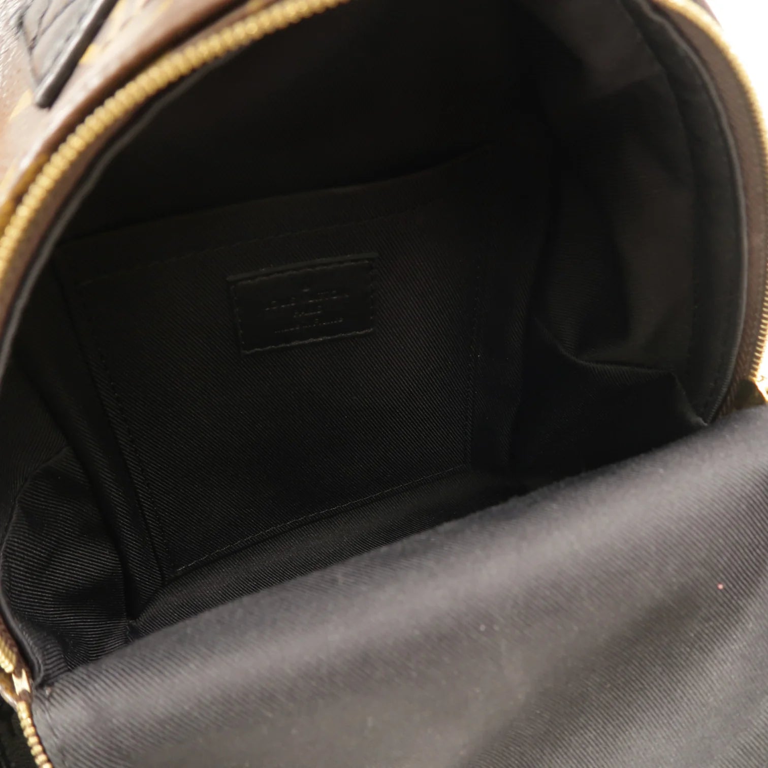 Louis Vuitton Palm Springs Mini Backpack Monogram Canvas