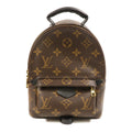 Louis Vuitton Palm Springs Mini Backpack Monogram Canvas