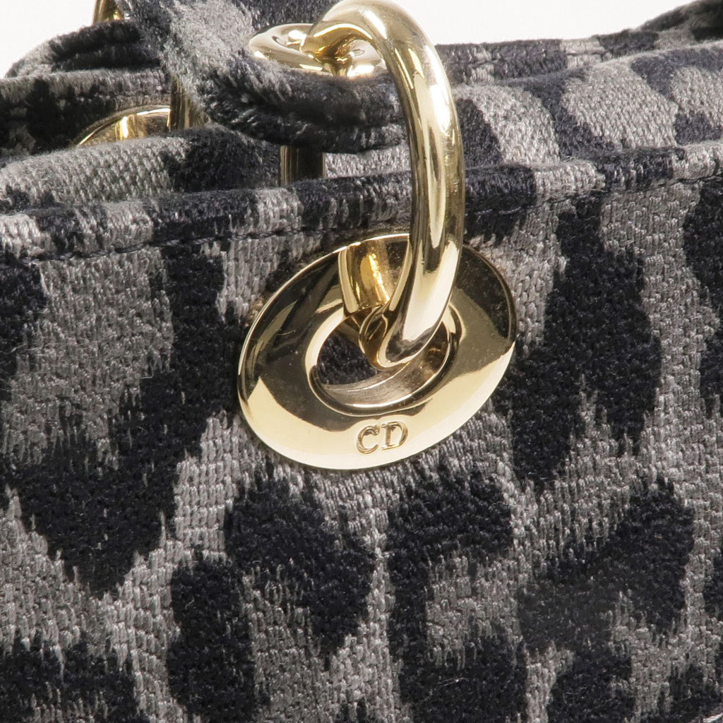 Christian Dior Lady D-Lite Medium Mizza Leopard Embroidered Canvas Bag