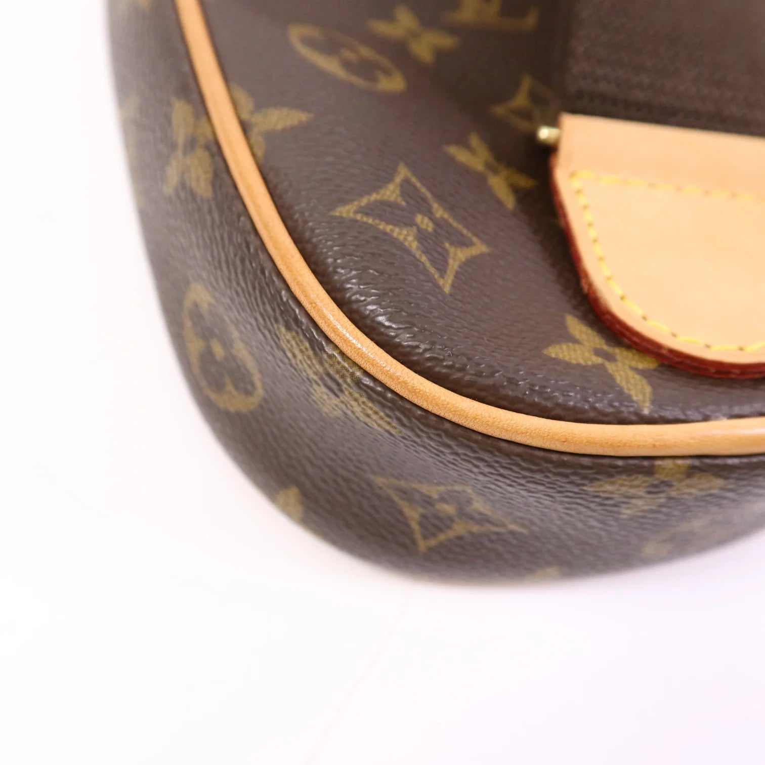 Louis Vuitton Pochette Gange Bag